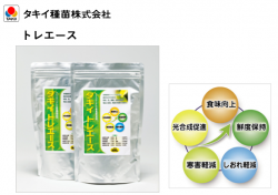 ȥ쥨(500g)ڥġ