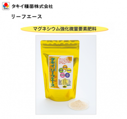 ꡼ե(500g)ڥġ