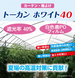 �ȡ����� �ۥ磻��40����楶�����