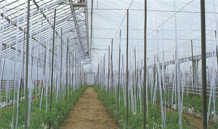 内張用不織布スーパーラブシートFX 農(みのり)ネット-農業資材の格安通販ショップ-