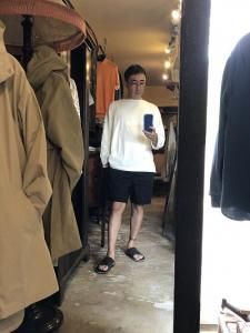 STYLE SAMPLE