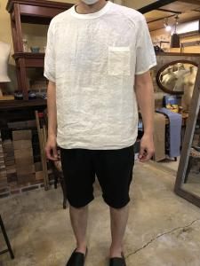 STYLE SAMPLE