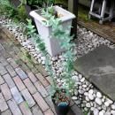 桼ꡦˡ