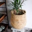 饹ȭСVL011L<img class='new_mark_img2' src='https://img.shop-pro.jp/img/new/icons20.gif' style='border:none;display:inline;margin:0px;padding:0px;width:auto;' />