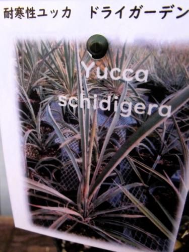 yucca様_ご確認ページ 2018725M0001_m1_a010.jpg