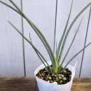 �إ��ڥ�������ѥ�ӥե����� ��åɡ�����