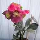 ꥹޥ  HGC 㥤åɡ4.5