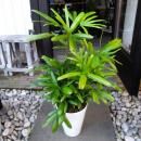 ����Υ�����ʴѲ��ݡˣ���ƫ��