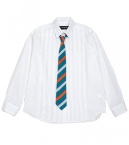 <img class='new_mark_img1' src='https://img.shop-pro.jp/img/new/icons3.gif' style='border:none;display:inline;margin:0px;padding:0px;width:auto;' />TIE TUCK SHIRTS