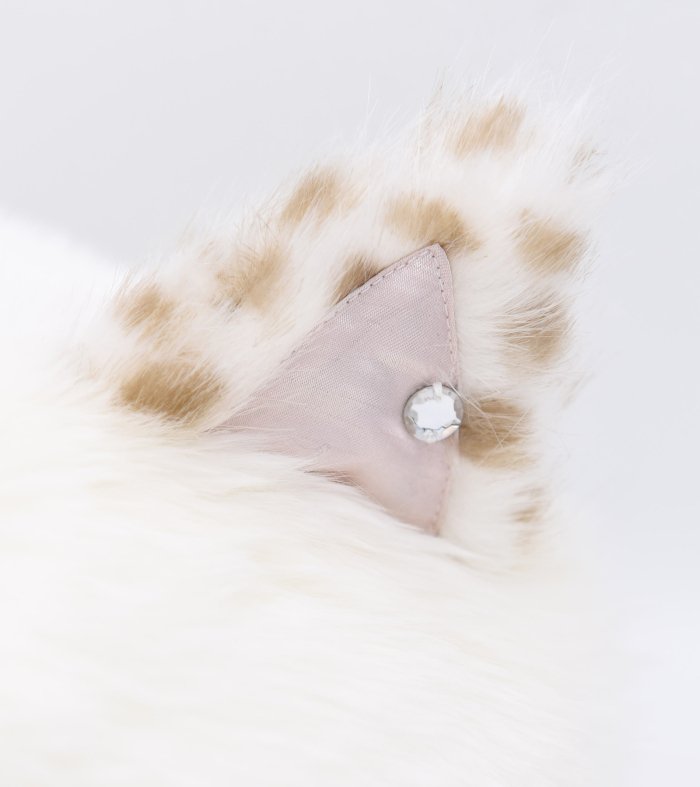 Kitten hat - MILK MILKBOY OFFICIAL ONLINE SHOP | milk inc