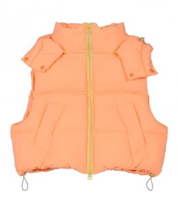 <img class='new_mark_img1' src='https://img.shop-pro.jp/img/new/icons2.gif' style='border:none;display:inline;margin:0px;padding:0px;width:auto;' />LAND PUFF DOWN VEST