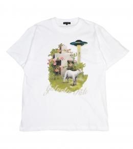 ͽʡ Galactic Fate TEE (7ܡ7ȯ)