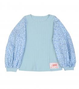 ͽʡ Sugar Tops (2026ǯ3ܡ4ȯ)