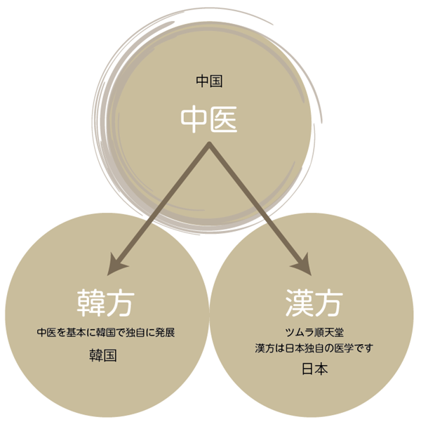 ʻ⤮,⤮粷