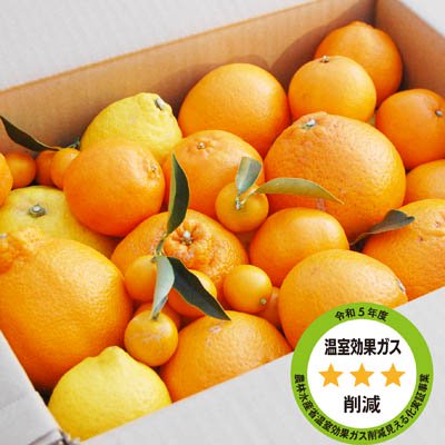 　特別栽培・低農薬<br>「柑橘詰め合わせ」 5kg