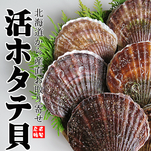 新鮮なホタテ貝をほたての産地、北海道から直送します。