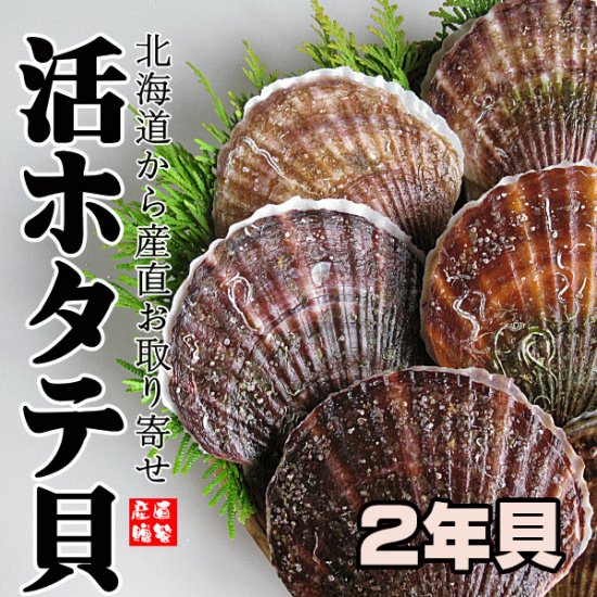 ほたて２年貝５ｋ 北海道からホタテ貝を通販でお取り寄せ 帆立貝なら 