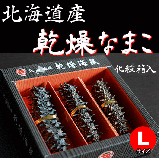 乾燥なまこ Lサイズ - 新鮮産直ネット 北海道から乾燥海鼠をお取り寄せ