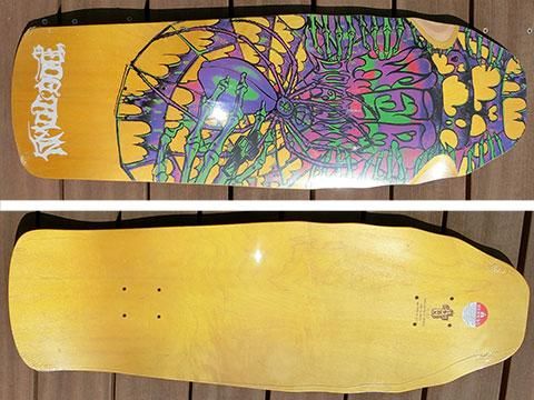 dogtown - スケートボード専門店 Pro Shop CUSTOM ダウンヒルボードも充実