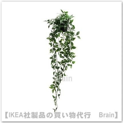 Fejka 人工観葉植物 つり下げ型70 Cm ｉｋｅａ通販オンライン イケア社製品の通販 買い物代行 Brain