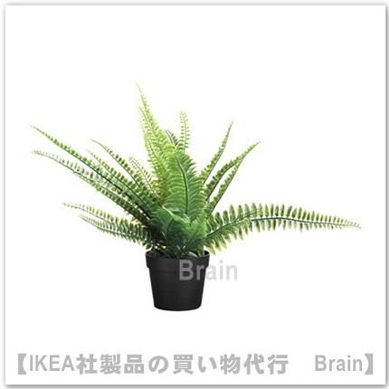 Fejka 人工観葉植物34 Cm アビス ｉｋｅａ通販オンライン イケア社製品の通販 買い物代行 Brain