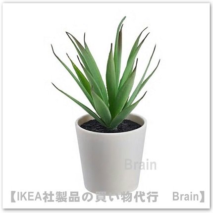 Fejka 人工観葉植物 鉢カバー付き14 Cm Succulent ｉｋｅａ通販オンライン イケア社製品の通販 買い物代行 Brain