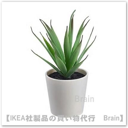 Fejka 人工観葉植物 鉢カバー付き14 Cm Succulent ｉｋｅａ通販オンライン イケア社製品の通販 買い物代行 Brain