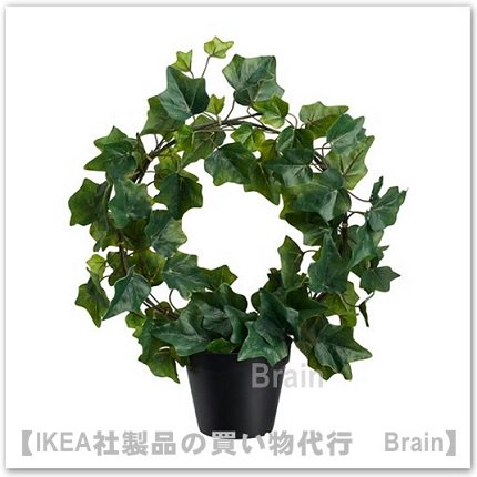 Fejka 人工観葉植物40 Cm ヘデラ ツル仕立て ｉｋｅａ通販オンライン イケア社製品の通販 買い物代行 Brain