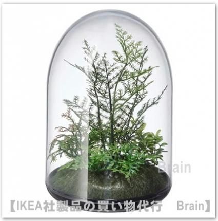 Invandig 人工植物テラリウム ドーム15 Cm ｉｋｅａ通販オンライン イケア社製品の通販 買い物代行 Brain