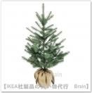<img class='new_mark_img1' src='https://img.shop-pro.jp/img/new/icons50.gif' style='border:none;display:inline;margin:0px;padding:0px;width:auto;' />VINTER 2020/¥ô¥£¥ó¥Æ¥ë 2020¡§¿Í¹©´ÑÍÕ¿¢Êª ¼¼Æâ/²°³°ÍÑ110 cm¡Ê¥¸¥å¡¼¥È/¥¯¥ê¥¹¥Þ¥¹¥Ä¥ê¡¼ ¡Ë