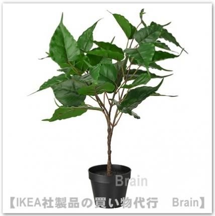 Fejka フェイカ 人工観葉植物58 Cm イチジク ｉｋｅａ通販オンライン イケア社製品の通販 買い物代行 Brain