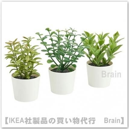 FEJKA/フェイカ：人工観葉植物 鉢カバー付き11 cm【3個セット】（ハーブ）, -  ＩＫＥＡ通販オンライン/イケア社製品の通販・買い物代行【Brain】