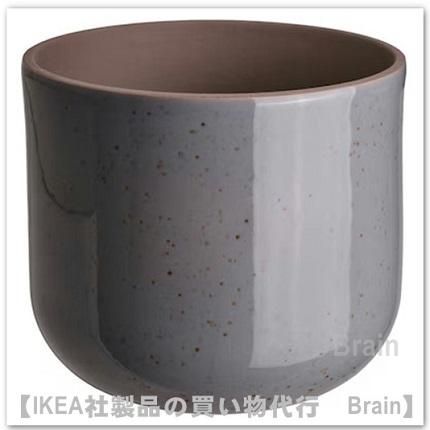 BUSKKAPRIFOL/֥ץե롧ȭС15 cm(졼֥롼)