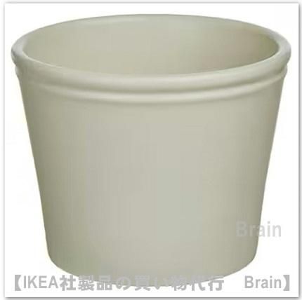 KÖRSBÄRSBJÖRK/륹٥륷ӥ륯ȭС12 cm(饤ȥ졼١)