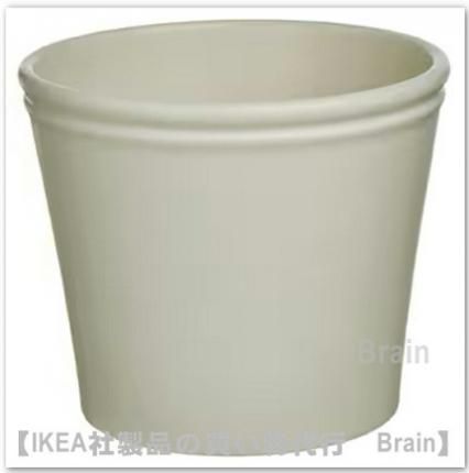 KÖRSBÄRSBJÖRK/륹٥륷ӥ륯ȭС24 cm(饤ȥ졼١)