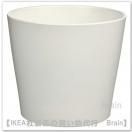 SOJABÖNA/ܥʡȭС15 cm(ۥ磻)