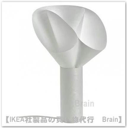 BÄCKNATE/٥åʡơơ֥50 cmʥۥ磻ȡ