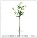 SMYCKA/ߥå¤60 cmʥȥ륳祦/ۥ磻ȡ
