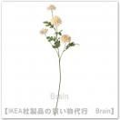 SMYCKA/ߥå¤71 cmʥ/ۥ磻ȡ
