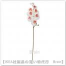 SMYCKA/ߥå¤60 cmOrchid/ۥ磻ȡ
