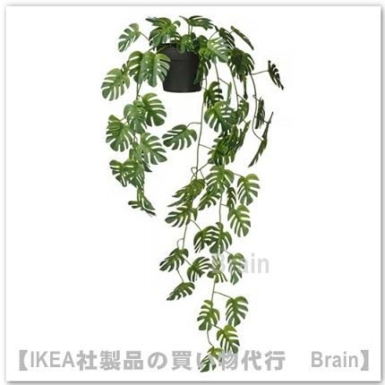 FEJKA/ե͹տʪ/Ĥ겼63 cmʥ󥹥ƥ