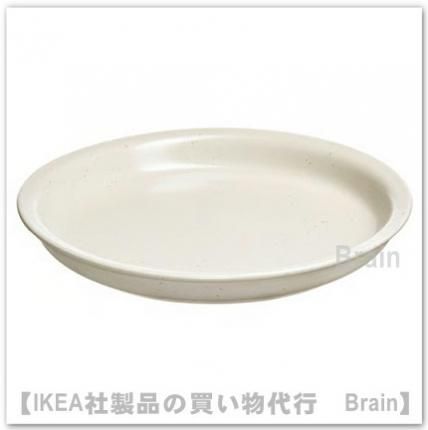 DAGGASTER/ƥ롧ɥץ졼20 cmʿ/饤ȥ١