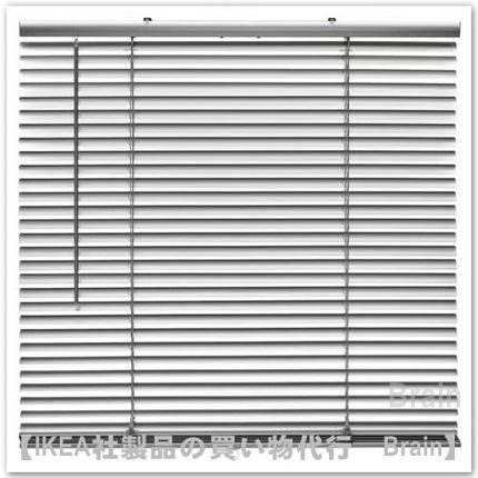 VECKLARFLY/åե꡼٥֥ͥ饤(ߥ˥ˡڳƥ٤ޤ