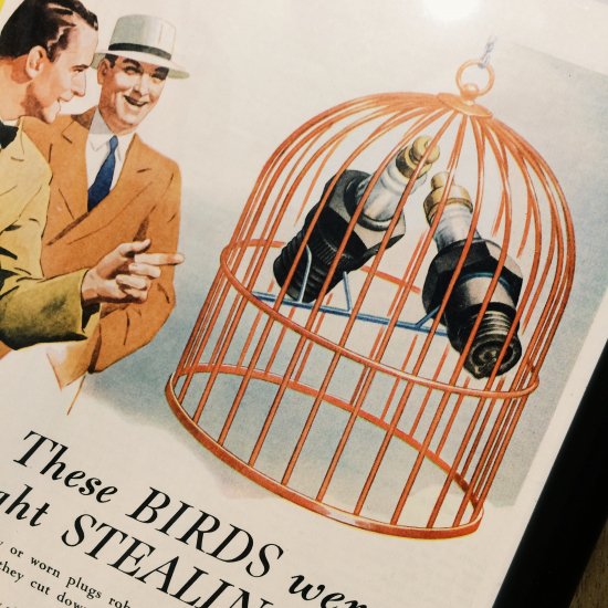 インテリアポスター / ACスパークプラグ -1938 バードケージ（INTERIOR POSTER / AC SPARK PLUG -1938  BIRD CAGE）