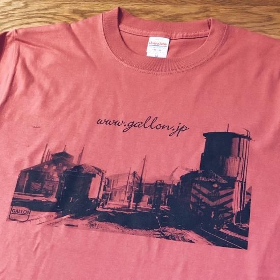 ビンテージフォトプリントTシャツ 1970 ヘイジーレッド ビンテージ