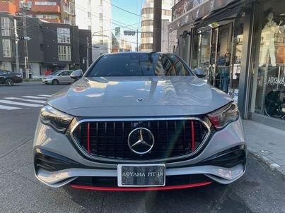 T*）様 E250 フロントグリル 縦メッキ 新品　パナメリカーナ E250 フロントグリル 縦メッキ 新品パナメリカーナ