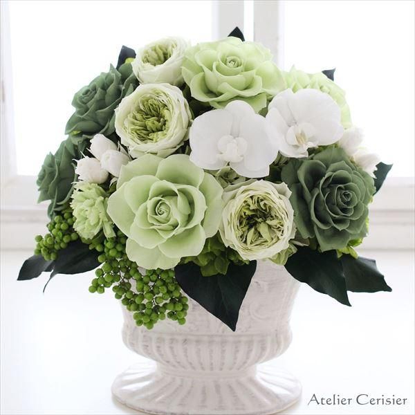 グリーンリーフ 薔薇 アレンジメント 71z4CDPm1DL._UF350,350_QL50_.jpg