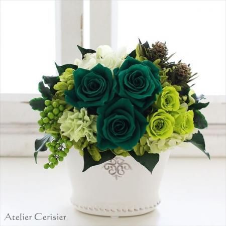 <img class='new_mark_img1' src='https://img.shop-pro.jp/img/new/icons13.gif' style='border:none;display:inline;margin:0px;padding:0px;width:auto;' /> 㥰꡼ ץꥶ֥ɥե