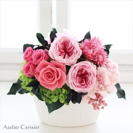 <img class='new_mark_img1' src='https://img.shop-pro.jp/img/new/icons13.gif' style='border:none;display:inline;margin:0px;padding:0px;width:auto;' />åȡ饺٥꡼ԥ󥯡 ץꥶ֥ɥե