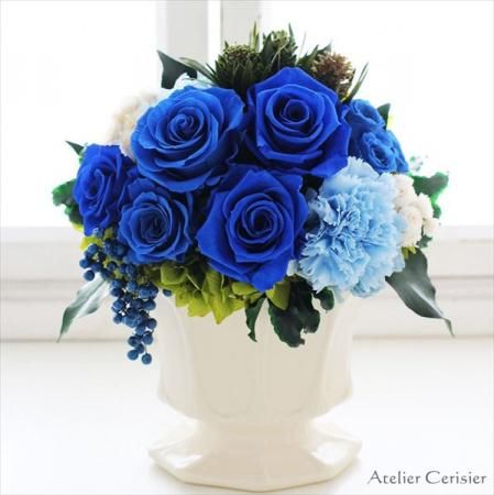 졼̡֥롼ץꥶ֥ɥե<img class='new_mark_img2' src='https://img.shop-pro.jp/img/new/icons13.gif' style='border:none;display:inline;margin:0px;padding:0px;width:auto;' />